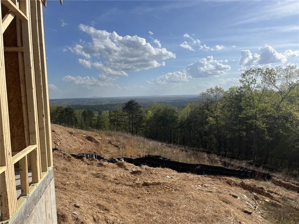 237 Laurel Vista Drive, Canton, Georgia image 11