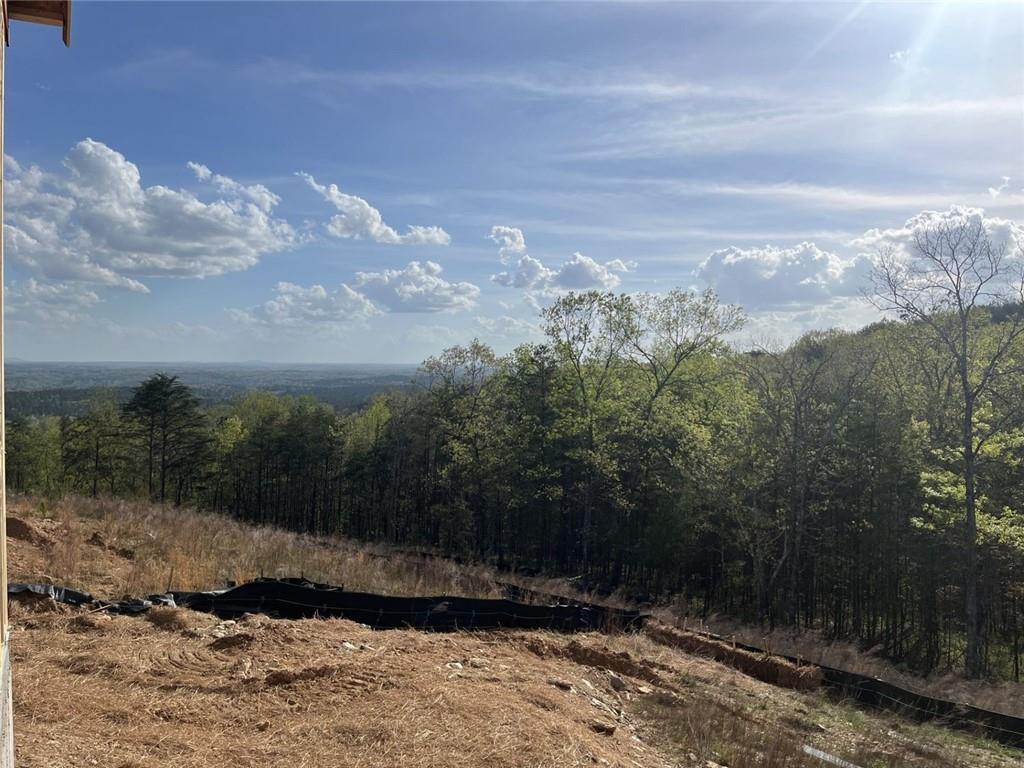 237 Laurel Vista Drive, Canton, Georgia image 15