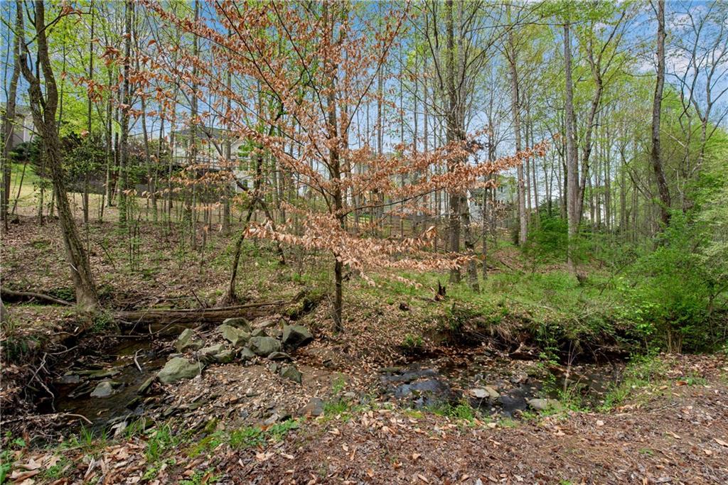 3665 Evonvale Glen, Cumming, Georgia image 45