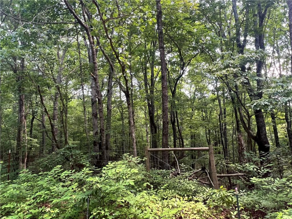 Acreage is perfect for an private estate home, farm or family compound. With gently rolling terrain, open skies, and wide-open potential, this land is ready for your vision. It offers both seclusion and accessibility — a unique find in North Georgia