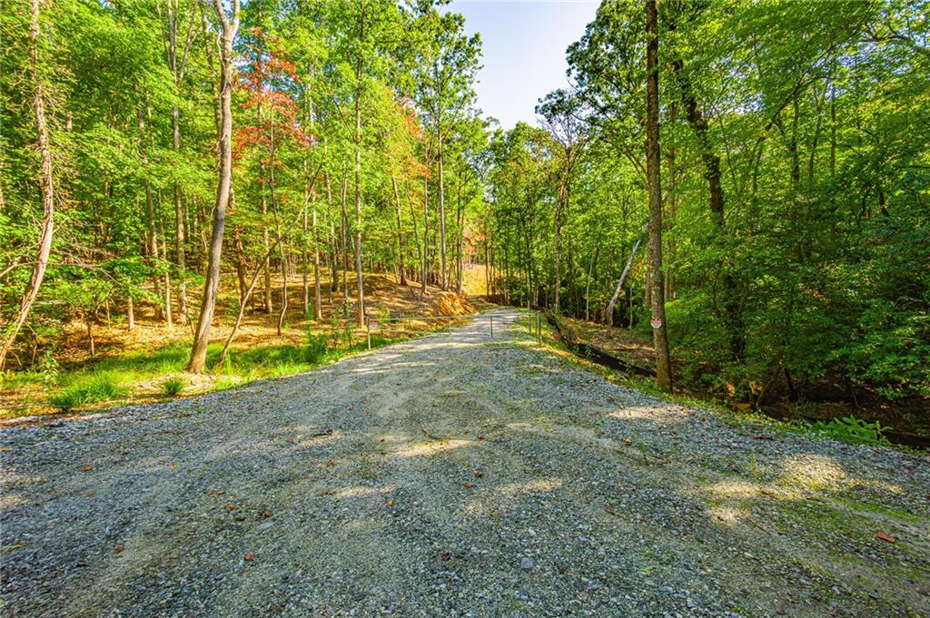 00 Ridgeway Road, Dahlonega, Georgia image 1