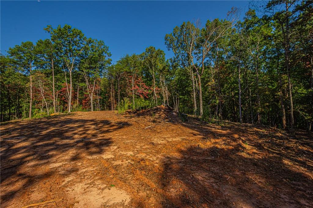 00 Ridgeway Road, Dahlonega, Georgia image 17