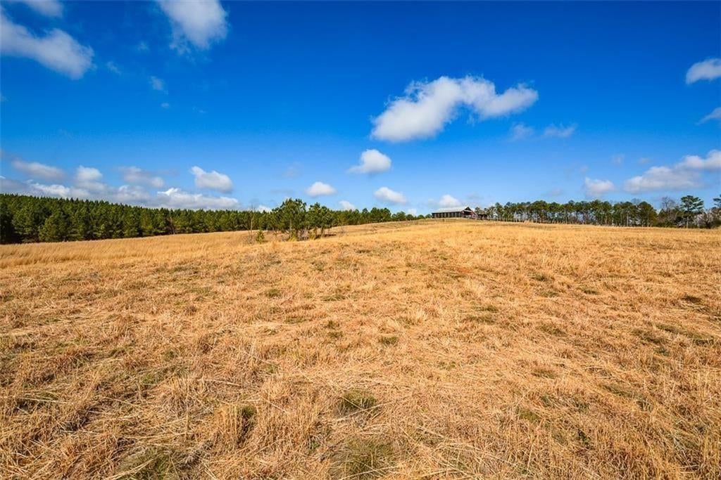 119 Inland 15 acres Drive