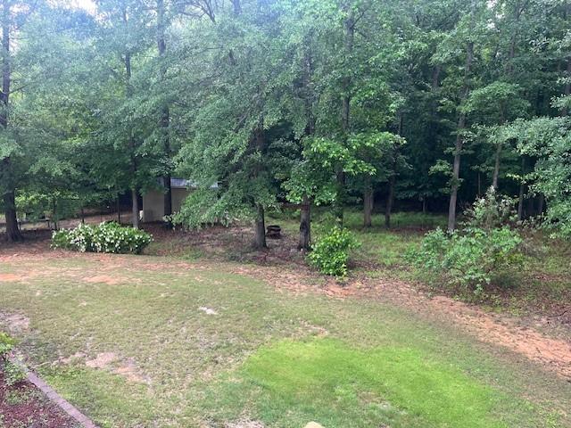 82 Sweetwater Way, Senoia, Georgia image 5