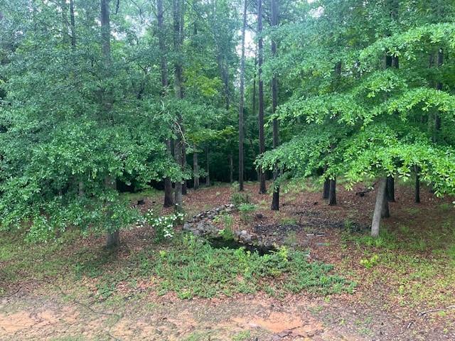 82 Sweetwater Way, Senoia, Georgia image 10