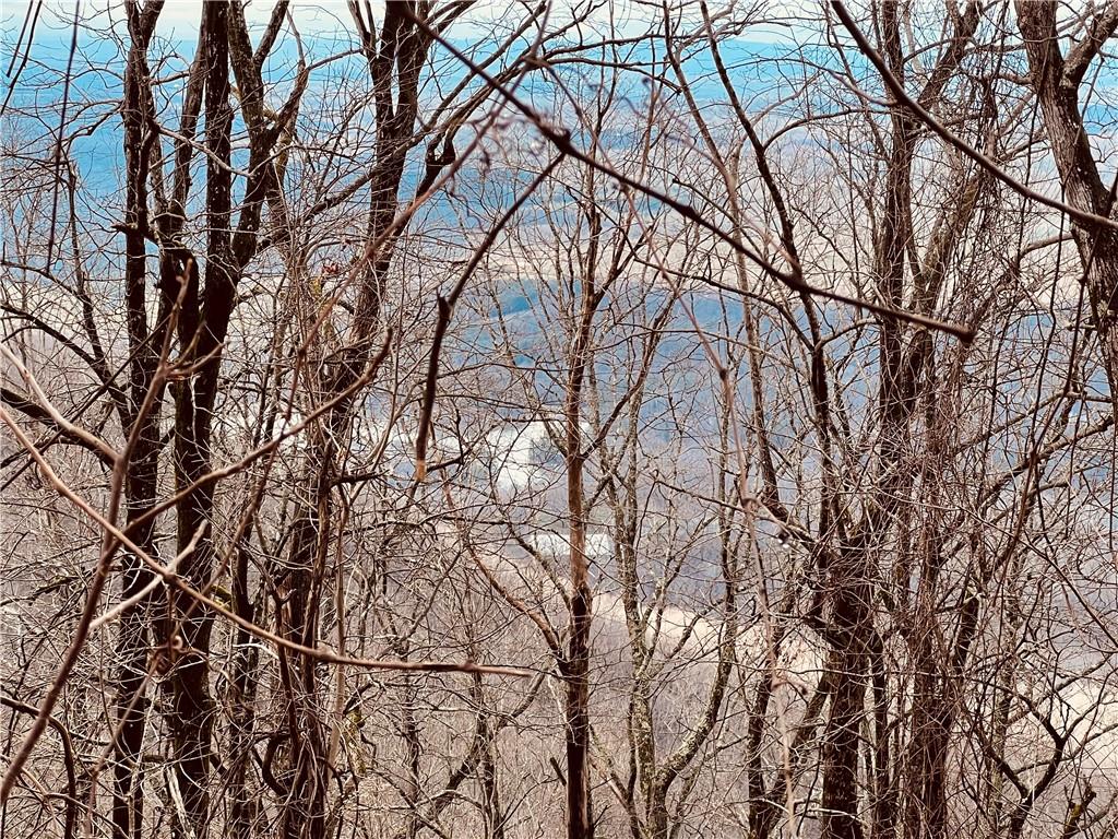 280 Big Stump Mountain Trail, Jasper, Georgia image 18