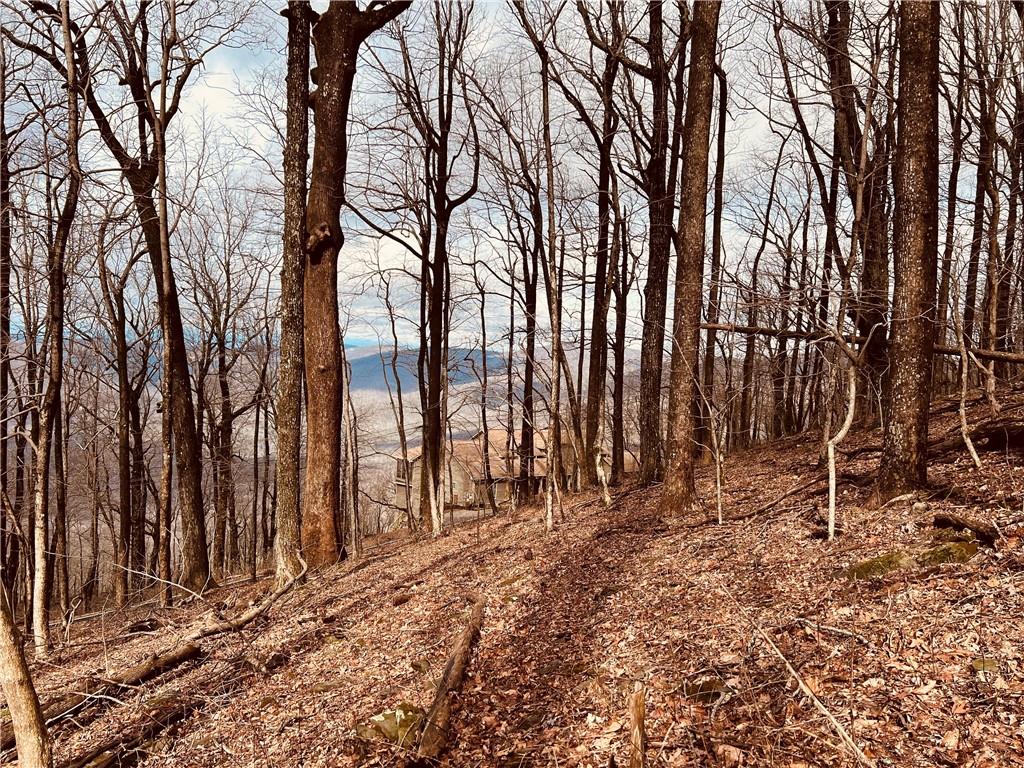 280 Big Stump Mountain Trail, Jasper, Georgia image 10