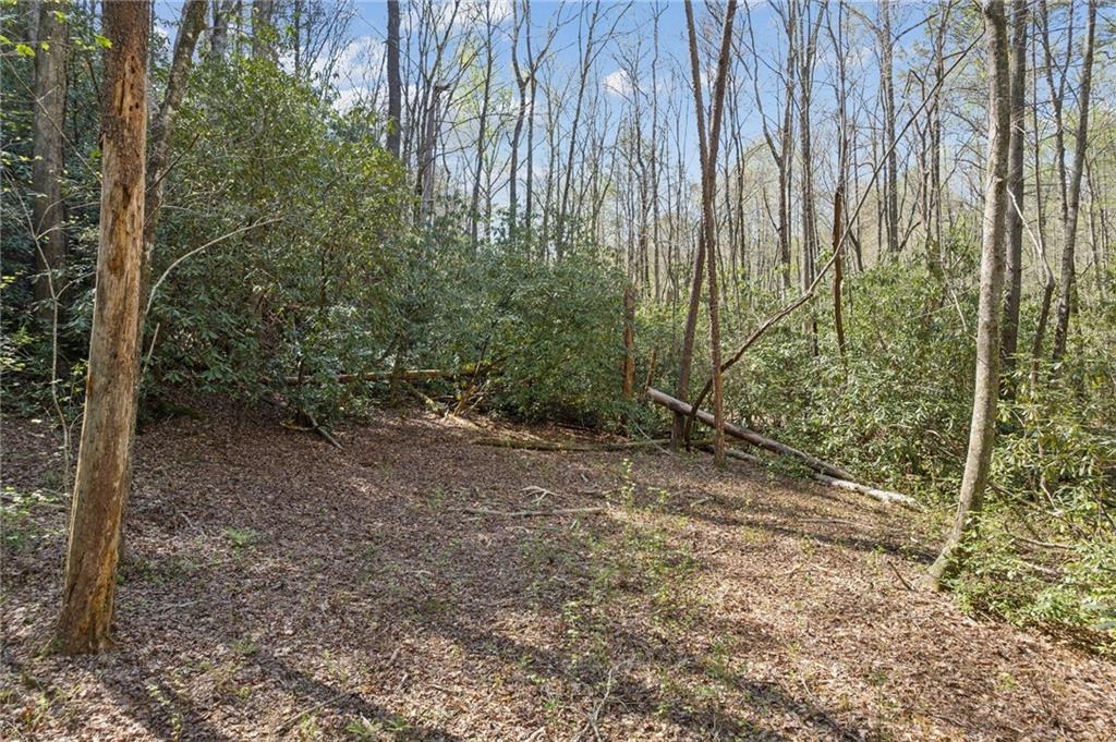 Crumley Creek Rd, Sautee Nacoochee, Georgia image 9