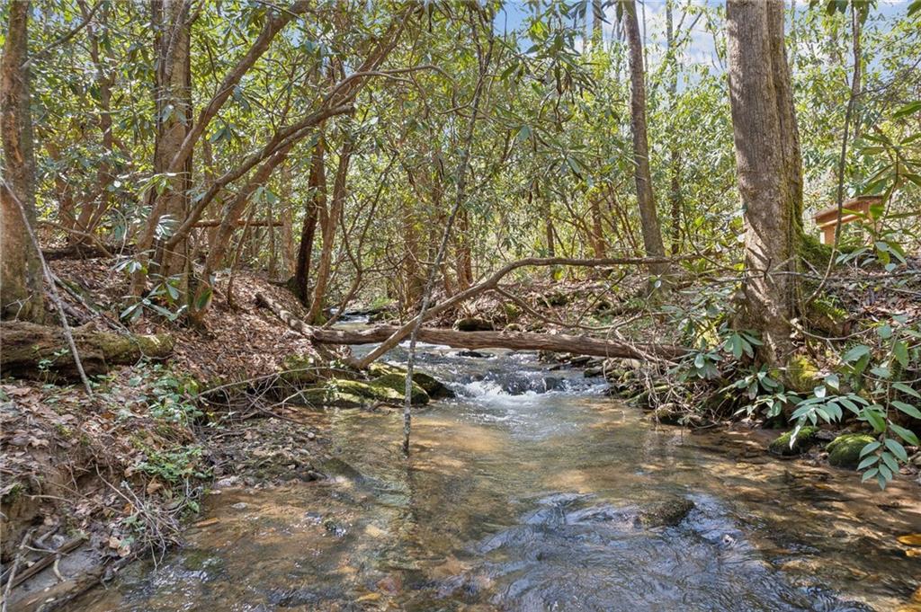 Crumley Creek Rd, Sautee Nacoochee, Georgia image 11