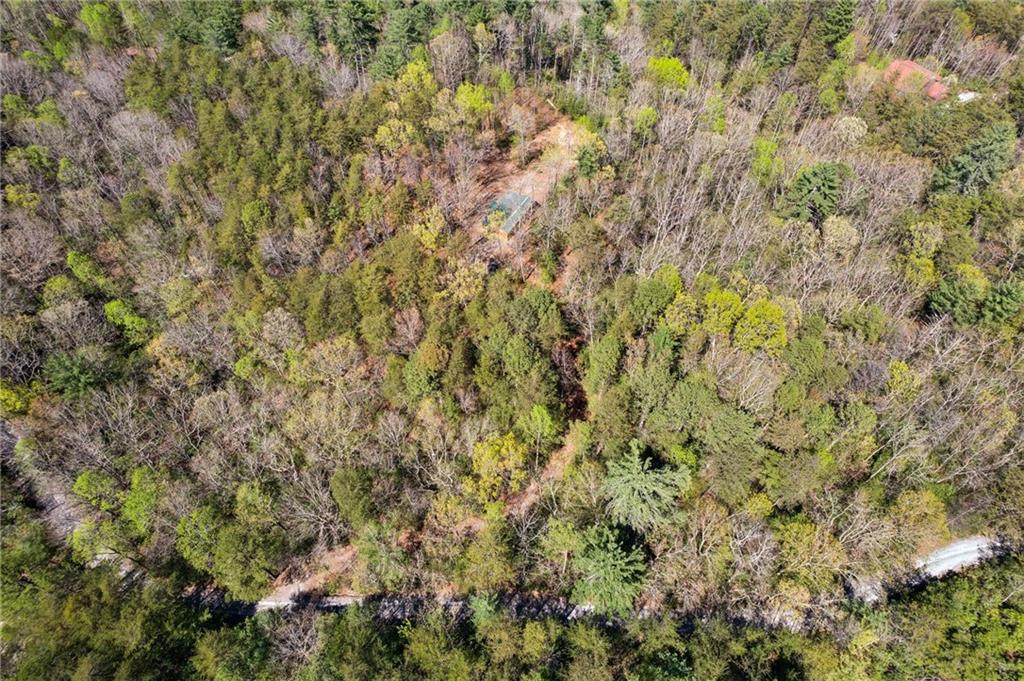 Crumley Creek Rd, Sautee Nacoochee, Georgia image 13