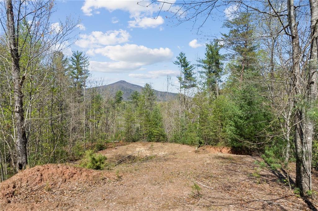 Crumley Creek Rd, Sautee Nacoochee, Georgia image 8
