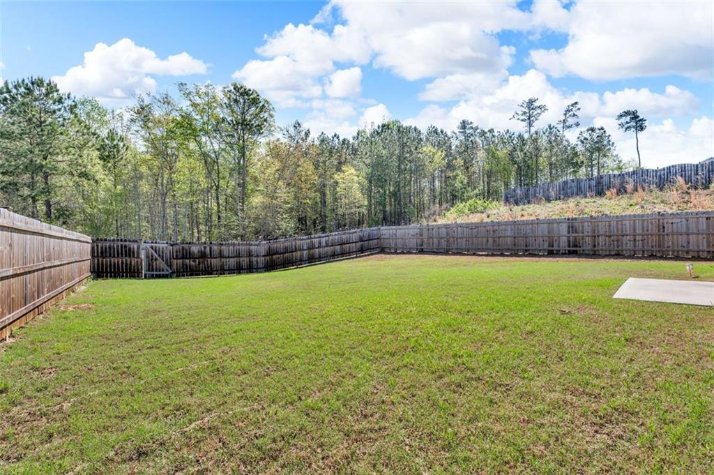 6920 Oak Valley Drive, Douglasville, Georgia image 30