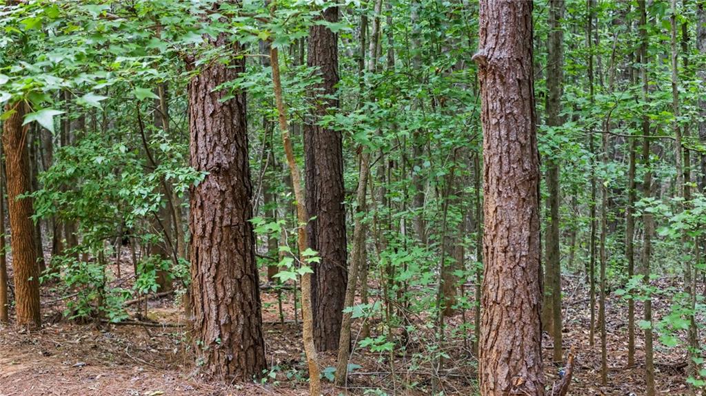 High Meadow Trail, Jenkinsburg, Georgia image 21