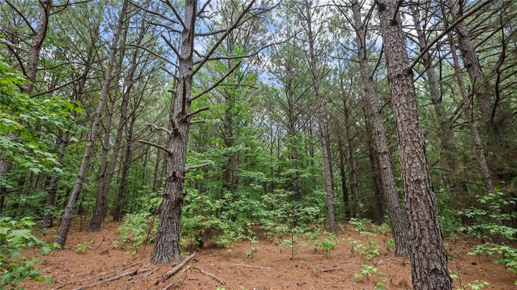 High Meadow Trail, Jenkinsburg, Georgia image 18