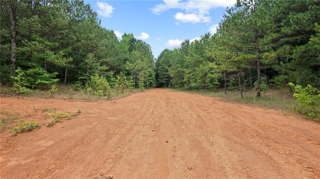 High Meadow Trail, Jenkinsburg, Georgia image 26