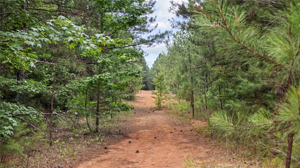 High Meadow Trail, Jenkinsburg, Georgia image 22