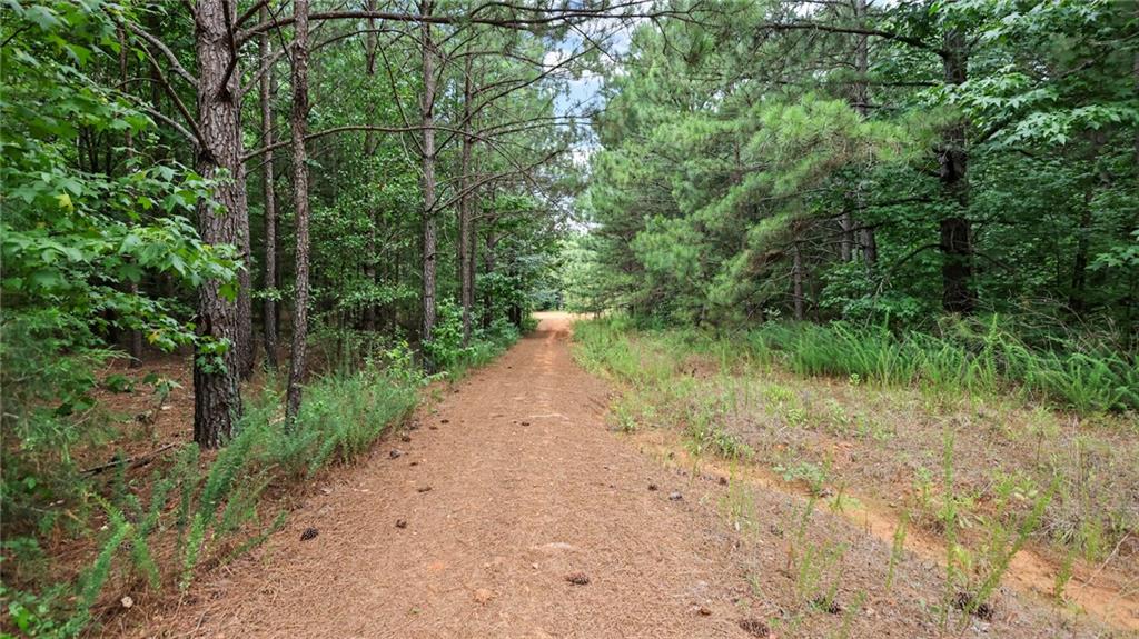 High Meadow Trail, Jenkinsburg, Georgia image 25