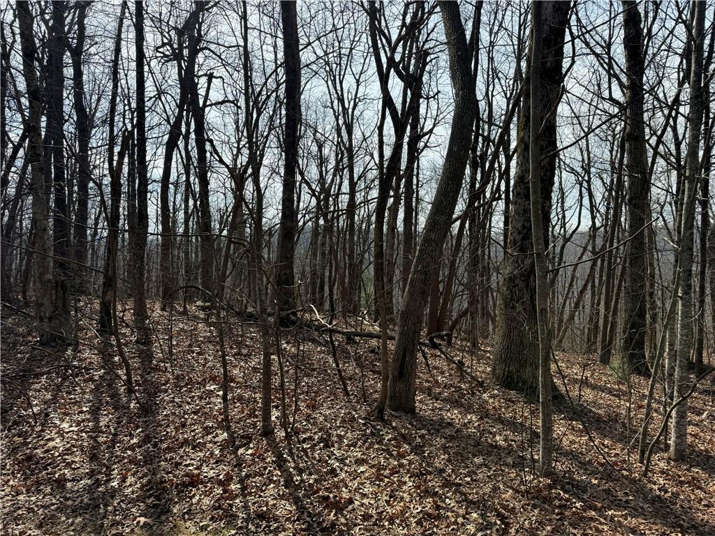 00 Burnt Mountain Ridge Road