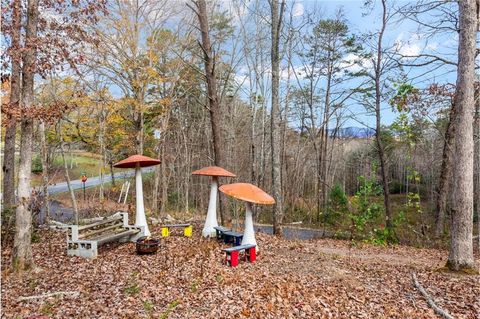 A home in Blue Ridge