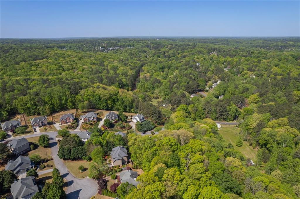 550 Vinings Springs Drive, Mableton, Georgia image 47