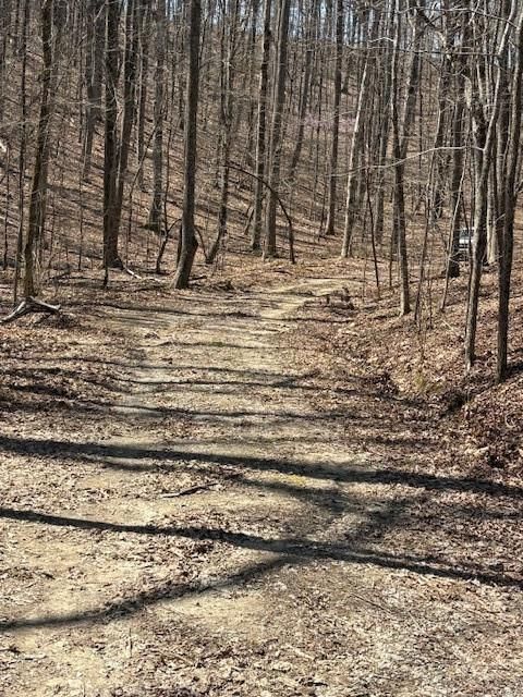 Vacant Land For Sale - 1092 Fern Court<br/> Gordon County, Ranger, GA 30734