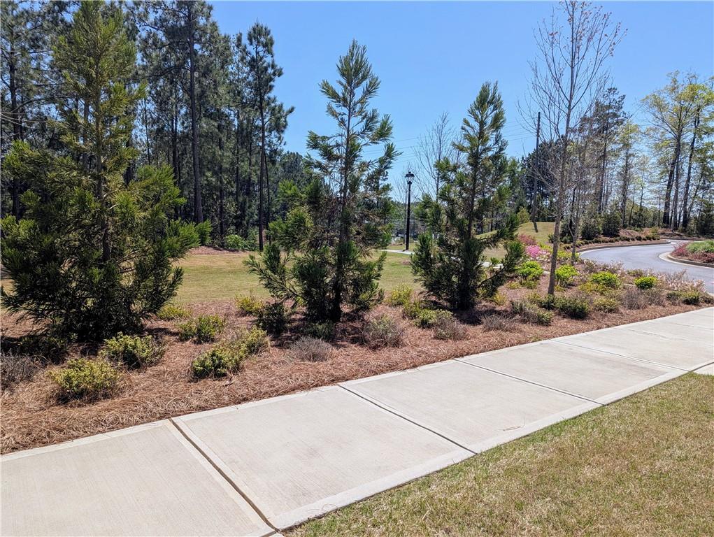 4320 Sims Park Overlook, Suwanee, Georgia image 38