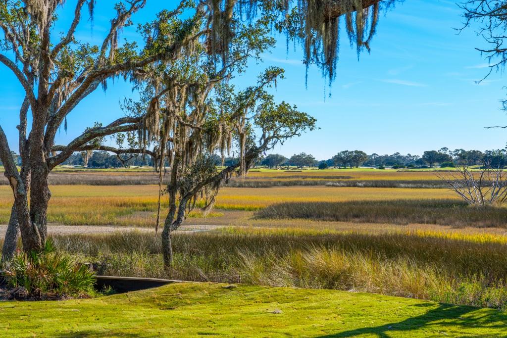 St Simons Island - Residential