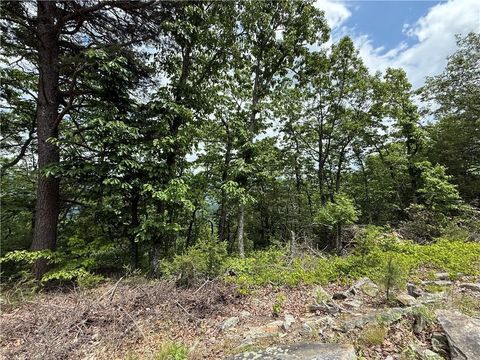 Vacant Land For Sale - 157 Hwy<br/> Menlo, GA 30731