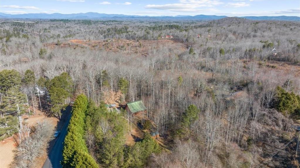 205 Soque Trail, Demorest, Georgia image 15