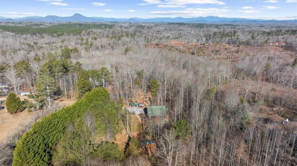 205 Soque Trail, Demorest, Georgia image 14