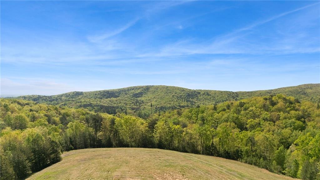 7.65 Acre Garland Mountain Trail, Waleska, Georgia image 17