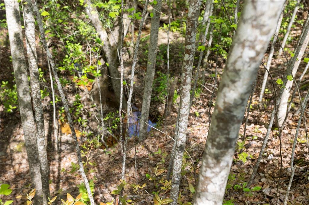 7.65 Acre Garland Mountain Trail, Waleska, Georgia image 9
