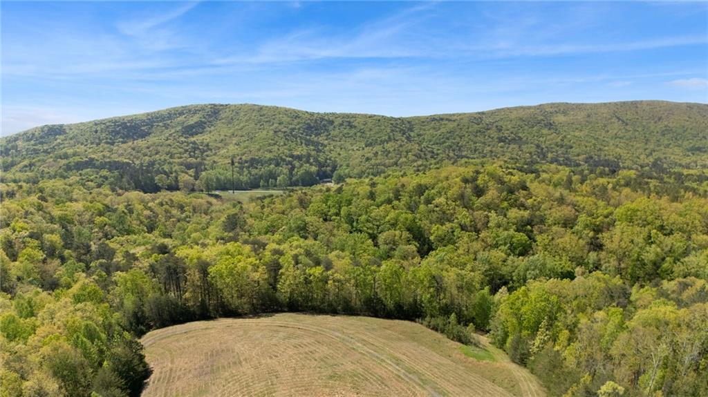 7.65 Acre Garland Mountain Trail, Waleska, Georgia image 16
