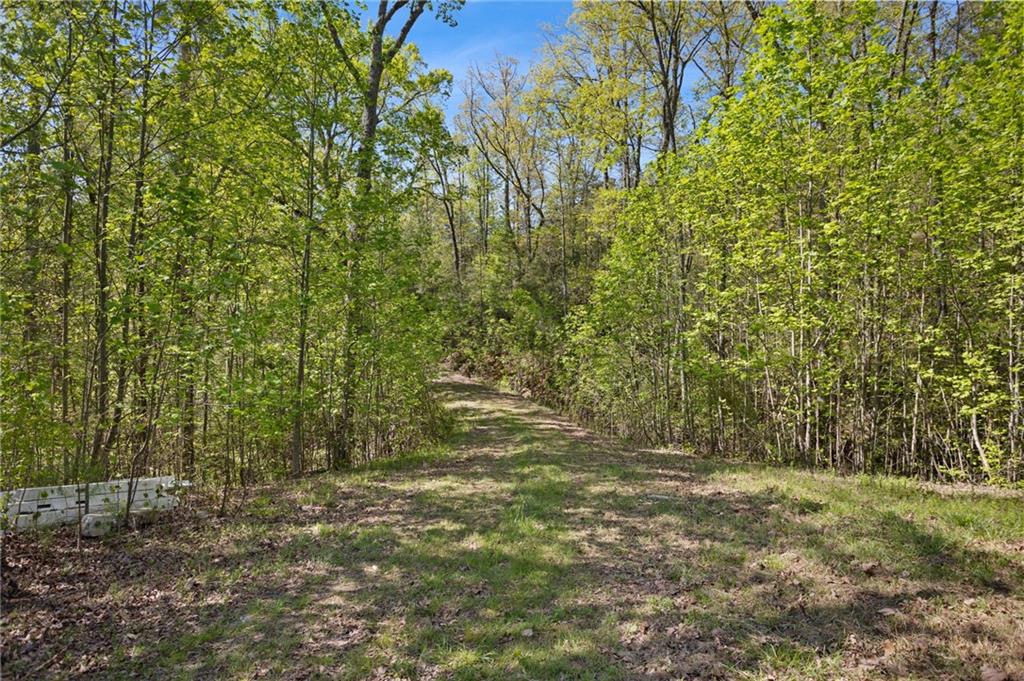 7.65 Acre Garland Mountain Trail, Waleska, Georgia image 3