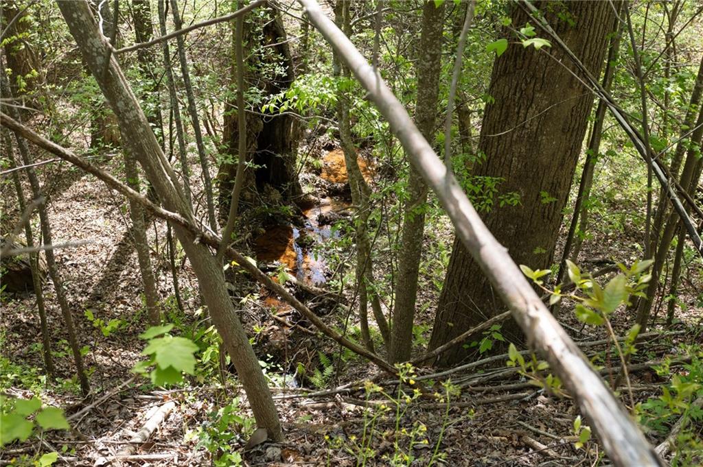 7.65 Acre Garland Mountain Trail, Waleska, Georgia image 10