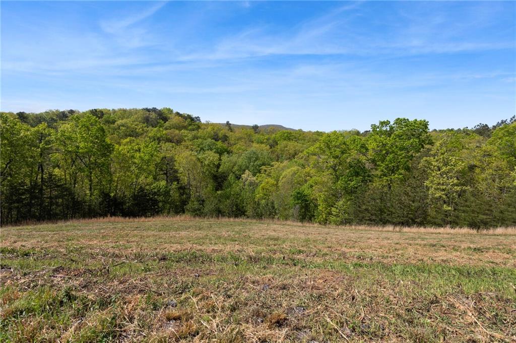 7.65 Acre Garland Mountain Trail, Waleska, Georgia image 1