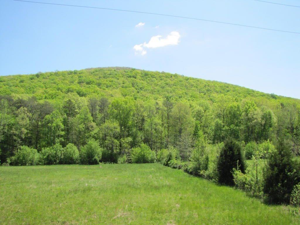 Hog Jowl (15.92 Ac) Road, Chickamauga, Georgia image 10