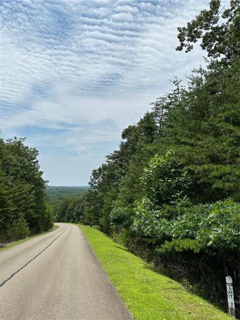 Unimproved Land in Jasper GA 284 Vistaview Parkway.jpg