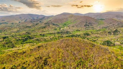Vacant Land For Sale - 29 AC Hidden Valley Drive<br/> Ellijay, GA 30536