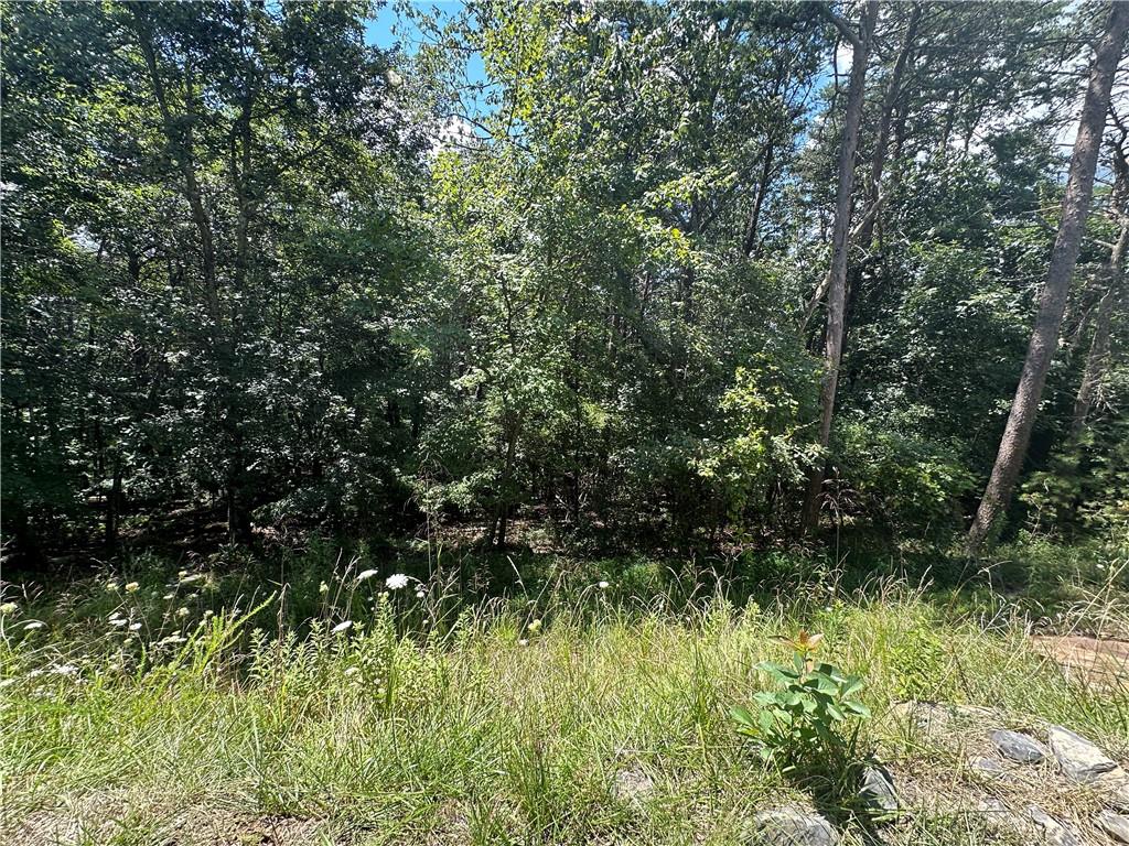 Come see this special lot in Salacoa Highlands with 1.51 acres and spectacular views. This large lot backs to a 2,000+ acre forest and is secluded but close to Jasper, Ball Ground and Canton. The lot has many trees and wildlife abounds. The association has a great lake and clubhouse.