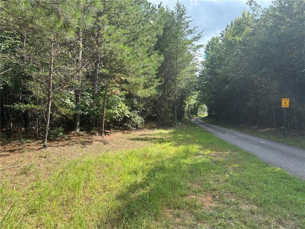 UNRESTRICTED!!!! Extremely hard to find level, Paved County Road Frontage! Flat as a pancake with a beautiful old farm creek. Lovely rectangular shape. It doesn’t get better than this. You own both sides of the creek, perfect for a pond! In an area of other lovely farms. Bring the horses, chickens. Build your barndo, farmhouse, dream home! Park your boat, RV, camper. This is your land, your way. It will be a perfect homestead or farm! Qualifying size for CUVA if you decide you want to reap tax savings! It is currently NOT in conservation, no worries. Country living, in an area everyone is looking. County does allow two houses. Cannot be split. Best opportunity around. Additional 4 acres available here and we have additional opportunities in Lumpkin County. Broker/Owner. Appointment owner.
