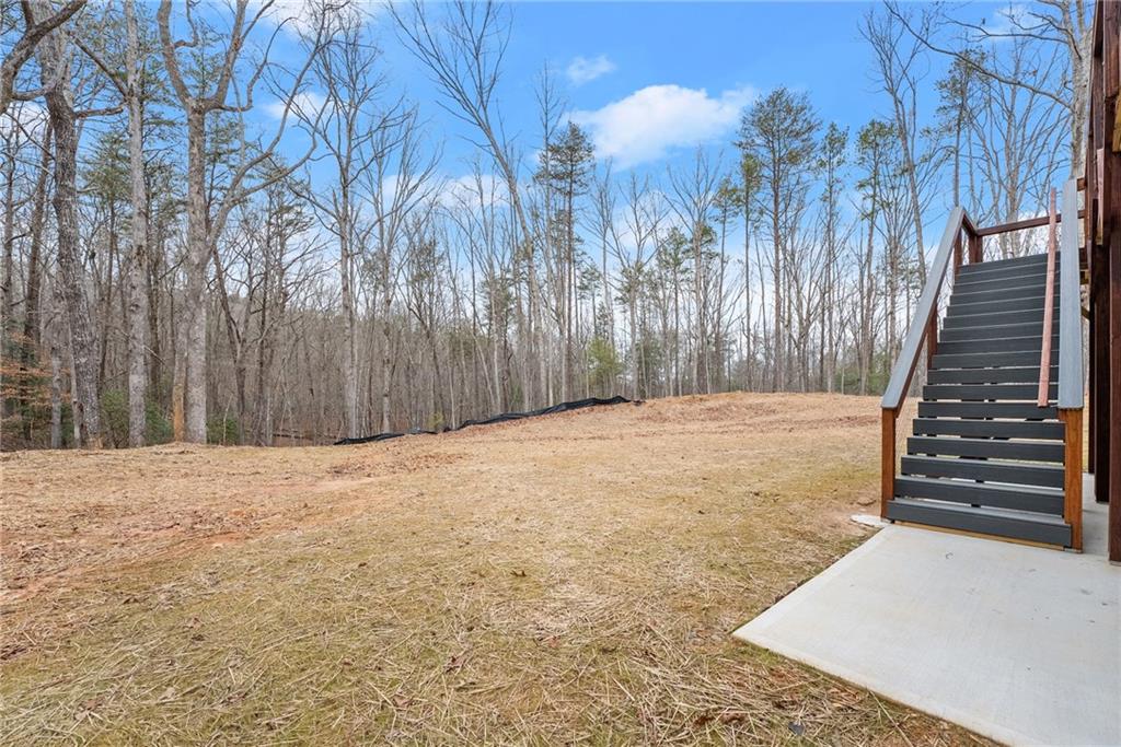 305 Etowah Cove Road, Dahlonega, Georgia image 39