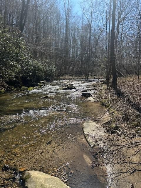 0 Lot 16 Bravo Way Talking Rock GA 30175