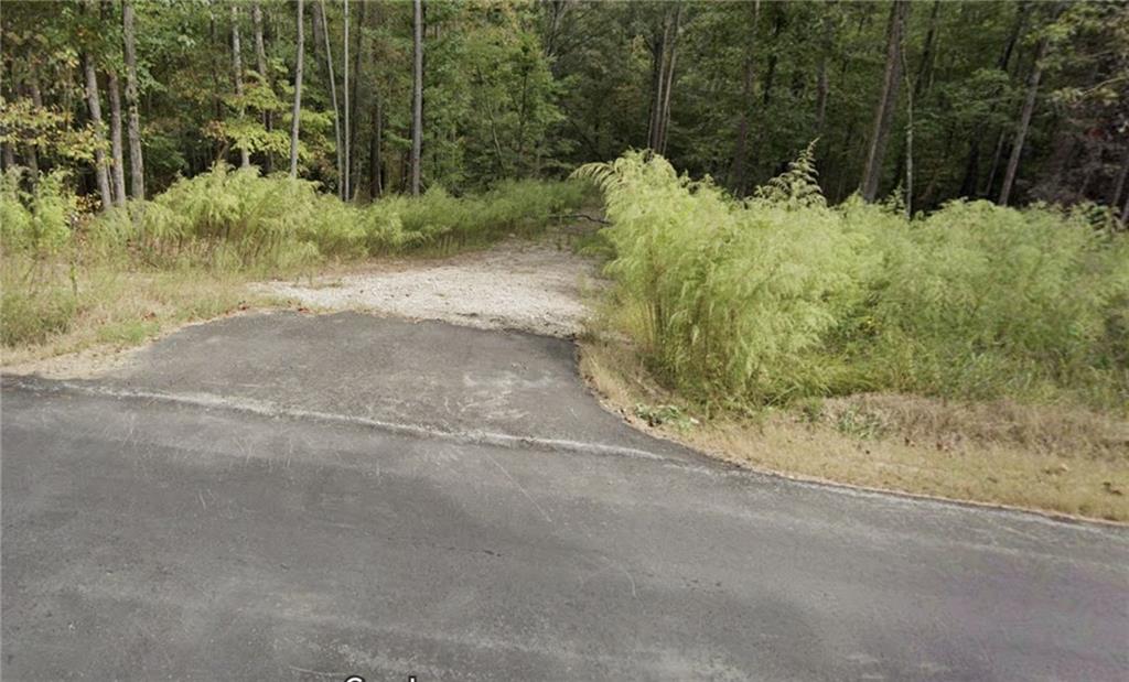 Gore Lakes Road, Dallas, Georgia image 5