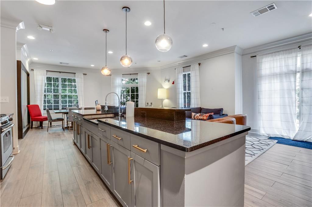 1055 Piedmont Avenue #409, Atlanta, Georgia image 45