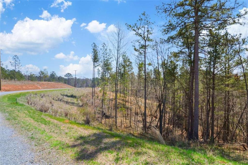 150 Blalock Mountain Road, Talking Rock, Georgia image 9