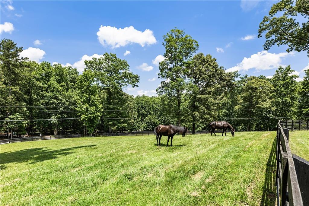 511 Dogwood Lake Trail