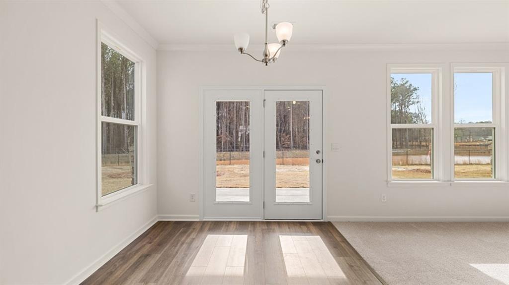 13250 Tolstoy Drive, Covington, Georgia image 16