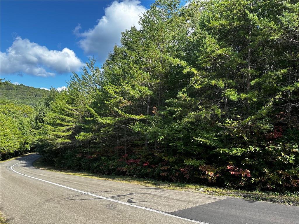 Priced to sell fast and well below appraised tax value! This 3.1 acre lot is located in the gated luxury subdivision of Georgian Highlands. You'll love the wide paved roads that meander through a picturesque forest with a state park feel. Located approximately 1 mile inside the gates you'll be enveloped in peace and serenity with hearing the sounds of nature. Underground electric, cable, phone, and high-speed internet. Buy now and build later! Close to orchards, wineries, and hiking. Approx 20-25 minutes to Jasper or Ellijay. Gated, HOA, no rentals, 2000 heated sqft min on main level, all buyers must be with an agent. Owner is a licensed real estate agent.