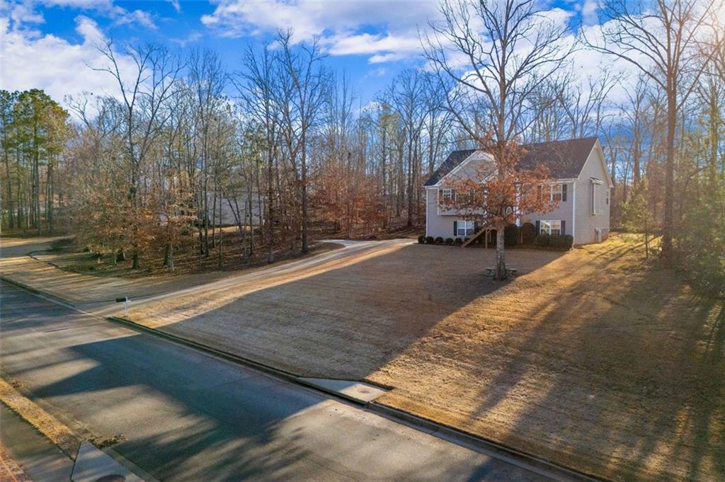 8885 Camp Tree Court, Winston, Georgia image 3